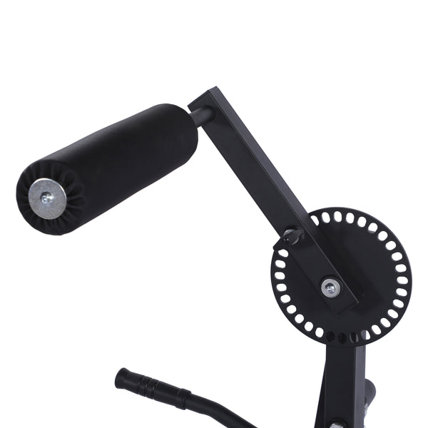 Bauchtrainer Rückentrainer APEX