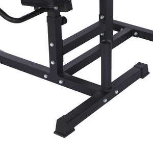 Bauchtrainer Rückentrainer APEX