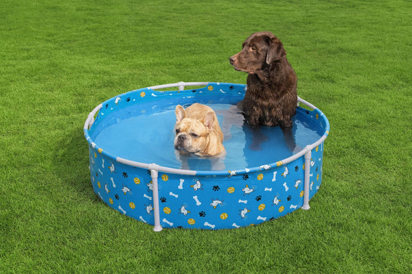Bestway Hundepool Fetchin' Fun 122 x 30 cm