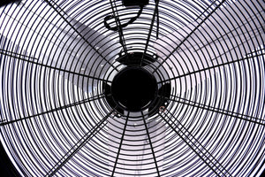 Bodenventilator Windmaschine 91 cm schwarz