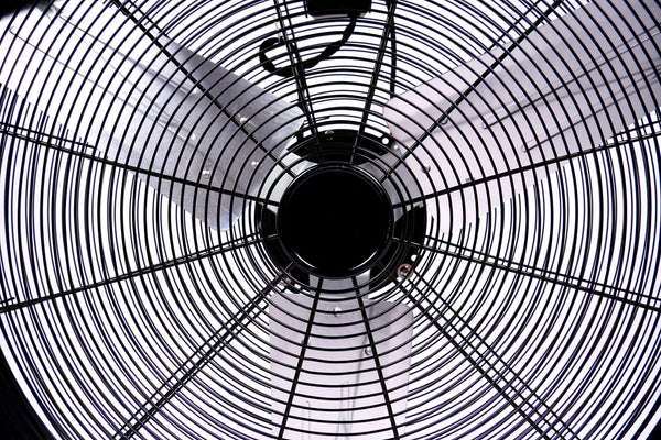 Bodenventilator Windmaschine 91 cm schwarz