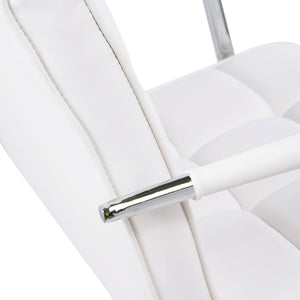 Office chair, swivel chair, cosmetic stool, rolling stool, white