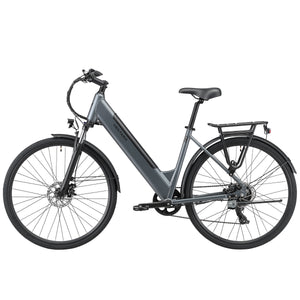 E-Bike Citybike SOFIA anthrazit