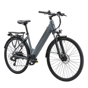 E-Bike Citybike SOFIA anthrazit