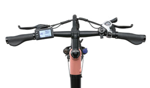 E-Bike Citybike SOFIA rosa