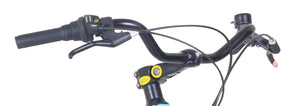 Women's city bike GILLIAN - Frame: 53cm