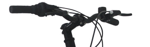 Citybike Herren Anthony - Rahmen: 48cm
