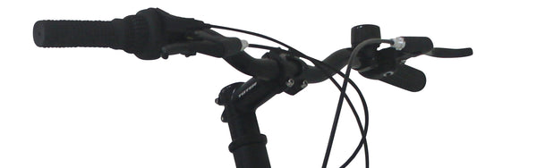Citybike Herren Anthony - Rahmen: 48cm
