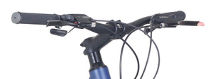 Citybike Herren GREGORY - Rahmen: 51cm