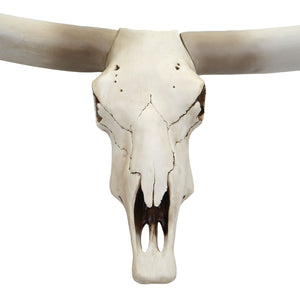 Deko Kuhschädel Stierkopf Bulle Longhorn ~ 103cm