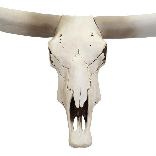 Deko Kuhschädel Stierkopf Bulle Longhorn ~ 103cm