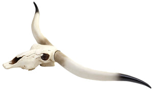 Deko Kuhschädel Stierkopf Bulle Longhorn ~ 103cm