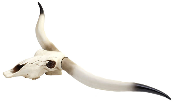 Deko Kuhschädel Stierkopf Bulle Longhorn ~ 103cm