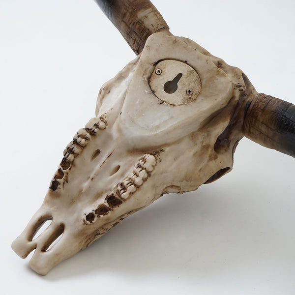 Deko Schädel 31cm Stier, Bulle ~ Natur mit Tribal