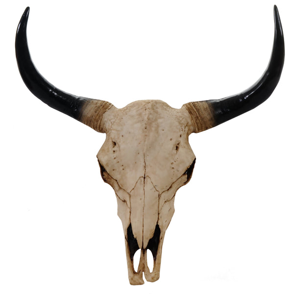 Deko Schädel Trophäe Stier Bulle In-/Outdoor 65cm natur
