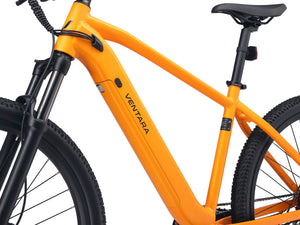 E-Bike Mountainbike 29"" AVALANCHE gelb