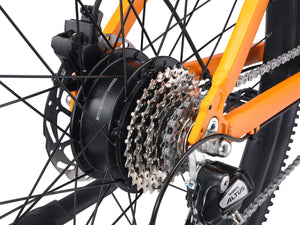 E-Bike Mountainbike 29"" AVALANCHE gelb