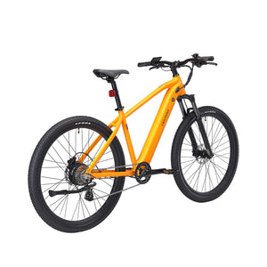 E-Bike Mountainbike 29"" AVALANCHE gelb