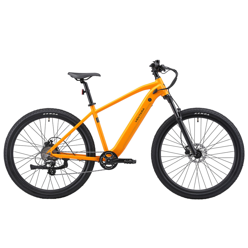 E-Bike mountain bike 29"" AVALANCHE yellow