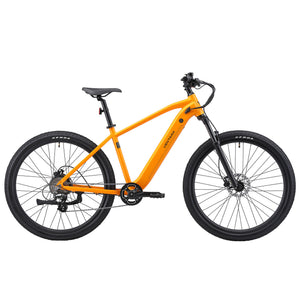 E-Bike Mountainbike 29"" AVALANCHE gelb