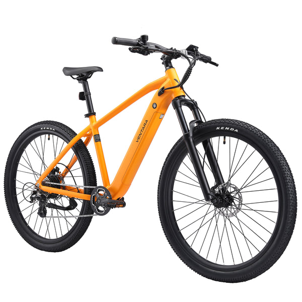 E-Bike Mountainbike 29"" AVALANCHE gelb