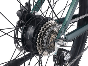 E-Bike Mountainbike 29"" AVALANCHE grün