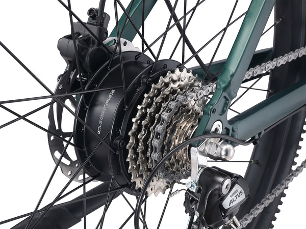 E-Bike Mountainbike 29"" AVALANCHE grün