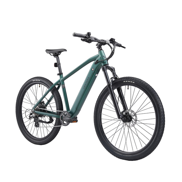 E-Bike Mountainbike 29"" AVALANCHE grün