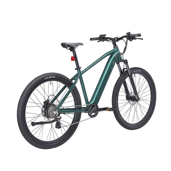 E-Bike Mountainbike 29"" AVALANCHE grün