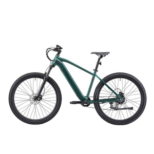 E-Bike Mountainbike 29"" AVALANCHE grün