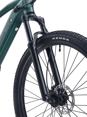 E-Bike Mountainbike 29"" AVALANCHE grün