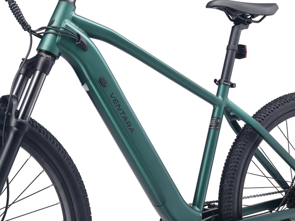 E-Bike Mountainbike 29"" AVALANCHE grün