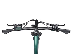 E-Bike Mountainbike 29"" AVALANCHE grün