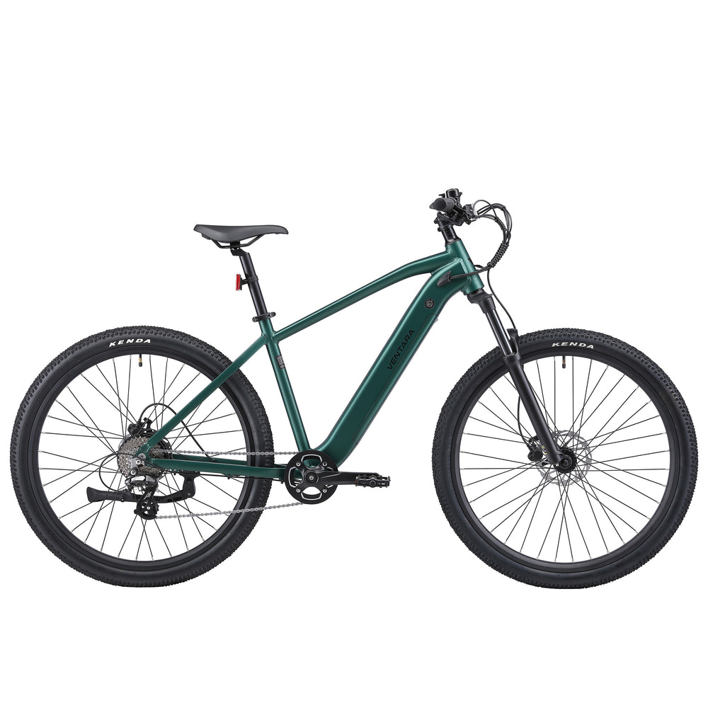 E-Bike Mountain Bike 29" AVALANCHE green