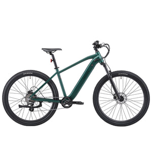 E-Bike Mountainbike 29"" AVALANCHE grün