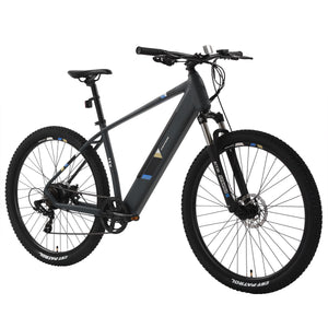E-Bike Mountainbike 29" ORRA L/XL anthrazit