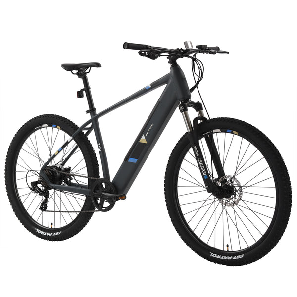 E-Bike Mountainbike 29" ORRA L/XL anthrazit