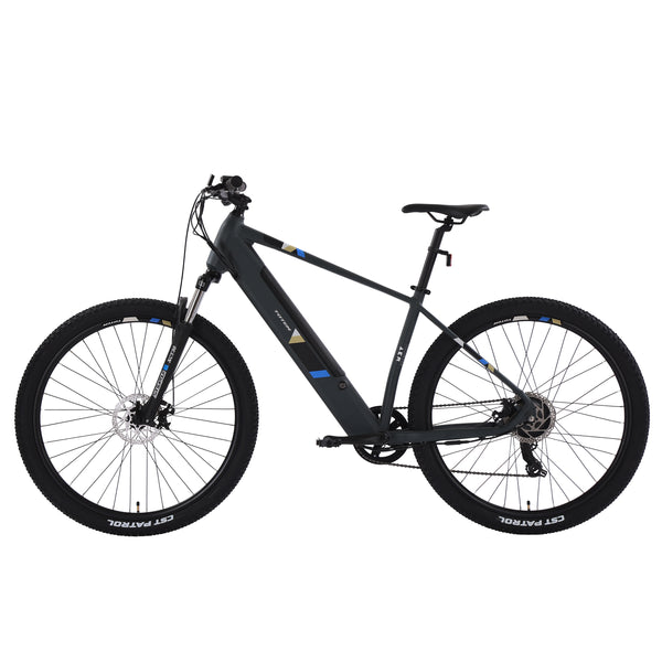 E-Bike Mountainbike 29" ORRA L/XL anthrazit