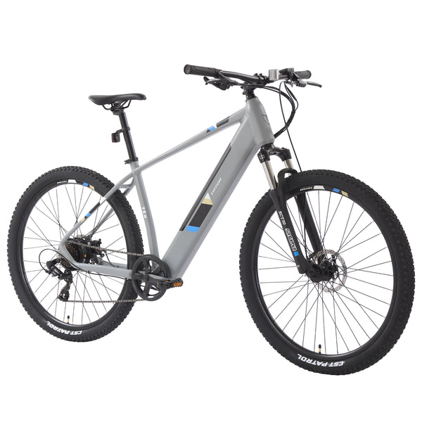 E-Bike Mountainbike 29" ORRA L/XL hellgrau