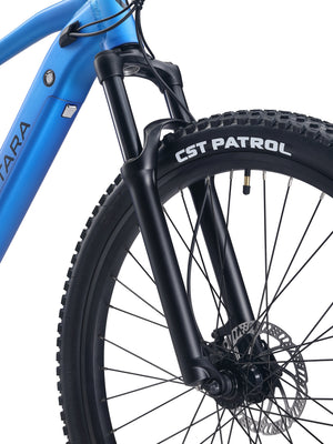 E-Bike Mountainbike 29"" THUNDER L blau