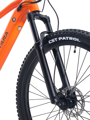 E-Bike Mountainbike 29"" THUNDER S orange