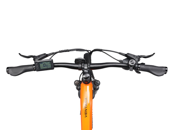 E-Bike Mountainbike 29"" THUNDER S orange