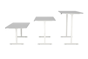 Bureau assis-debout électrique, gris/blanc, 160 x 80 cm