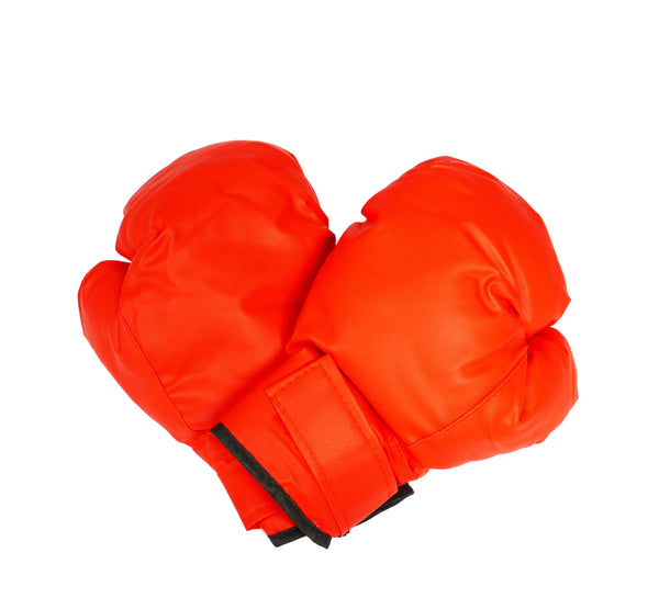 Punchingball inkl. Boxhandschuhe