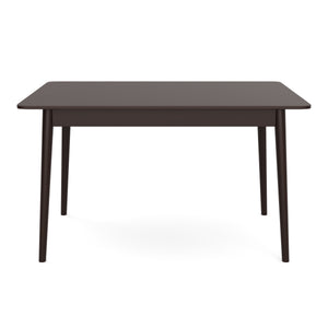 Esstisch Holz FLAVIO 120 x 75 cm braun