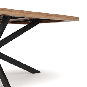 Esstisch Massivholz INDIRA 200 x 100 cm