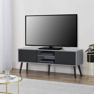 Fernsehtisch Eskilstuna 120 x 29.5 x 46.5 cm mit 2 Schranktüren