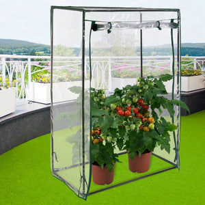 Tomaten Gewächshaus 100/50/150cm