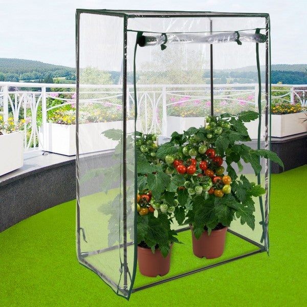 Tomaten Gewächshaus 100/50/150cm