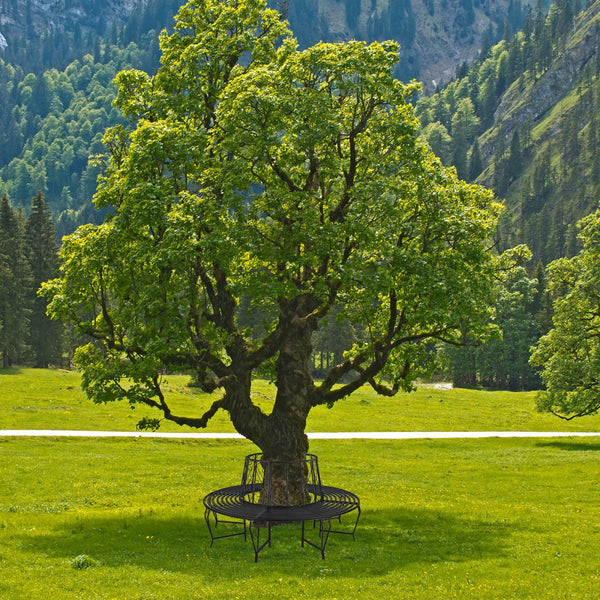Dema - Baumbank Gartenbank Parkbank Rundbank Bank Metall schwarz ØxH 163x85 cm